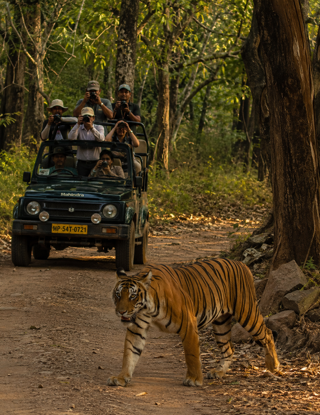 Top Global Travel LLP - Travel Experiences